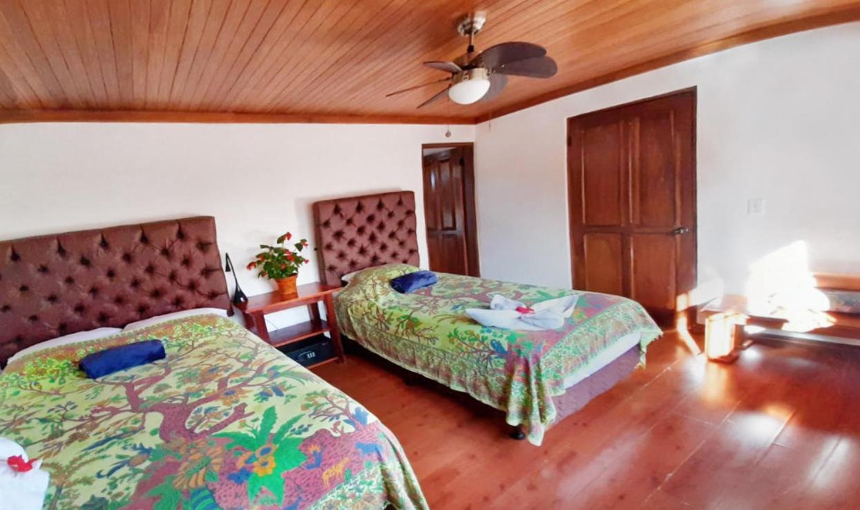 Luna Inn B&B Ciudad Cariari Extérieur photo