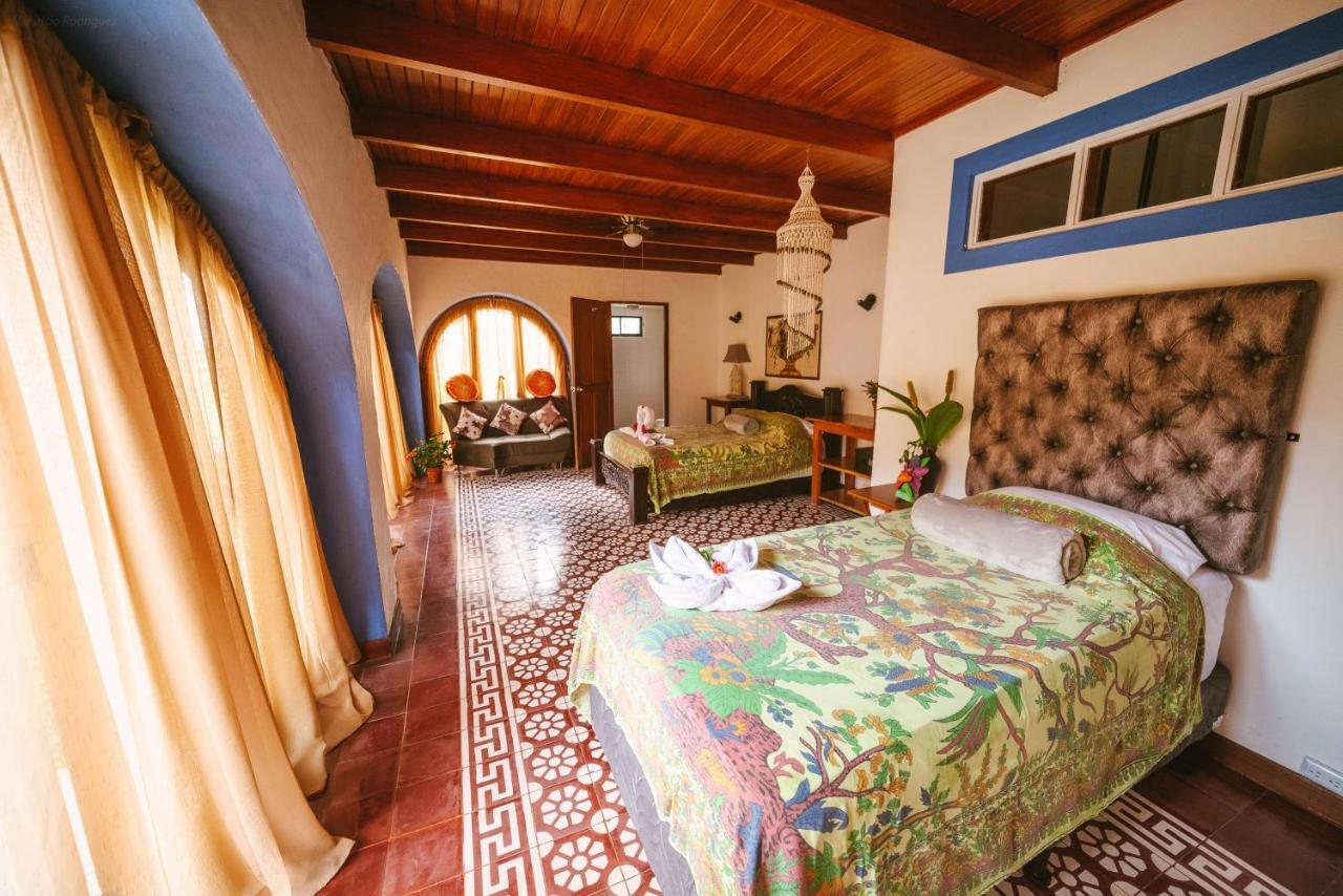 Luna Inn B&B Ciudad Cariari Extérieur photo